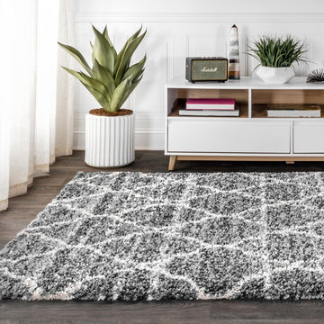 Susa Ogee Moroccan Trellis Shag Area Rug